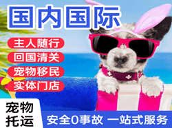 兴东航空空运国际宠物托运 【国